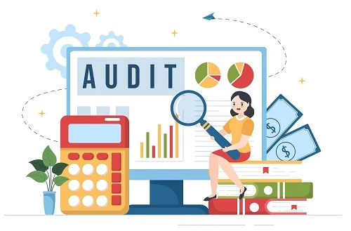 Comprehensive website audit and assessment for small business